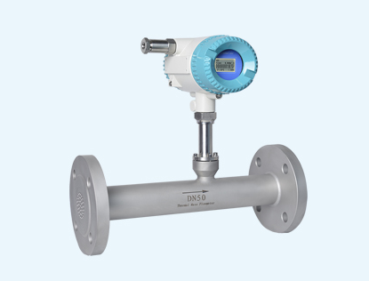 熱式氣體質量流量計1